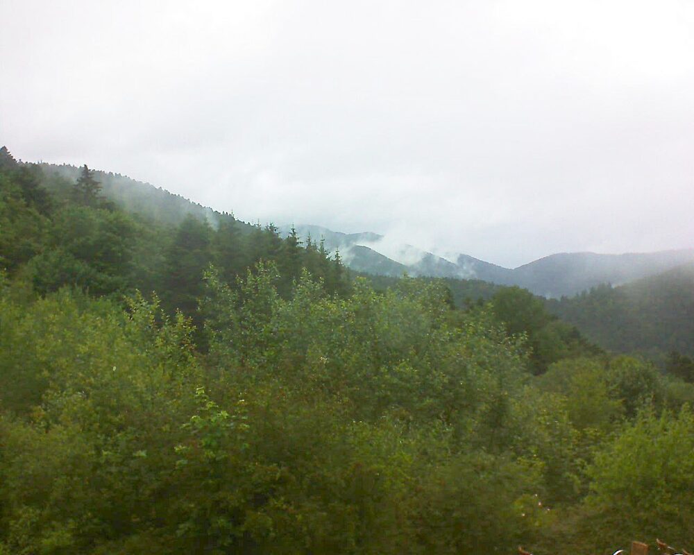 Le petit ballon (Alsace, Vosges) le 22.06.2024 à 13:00