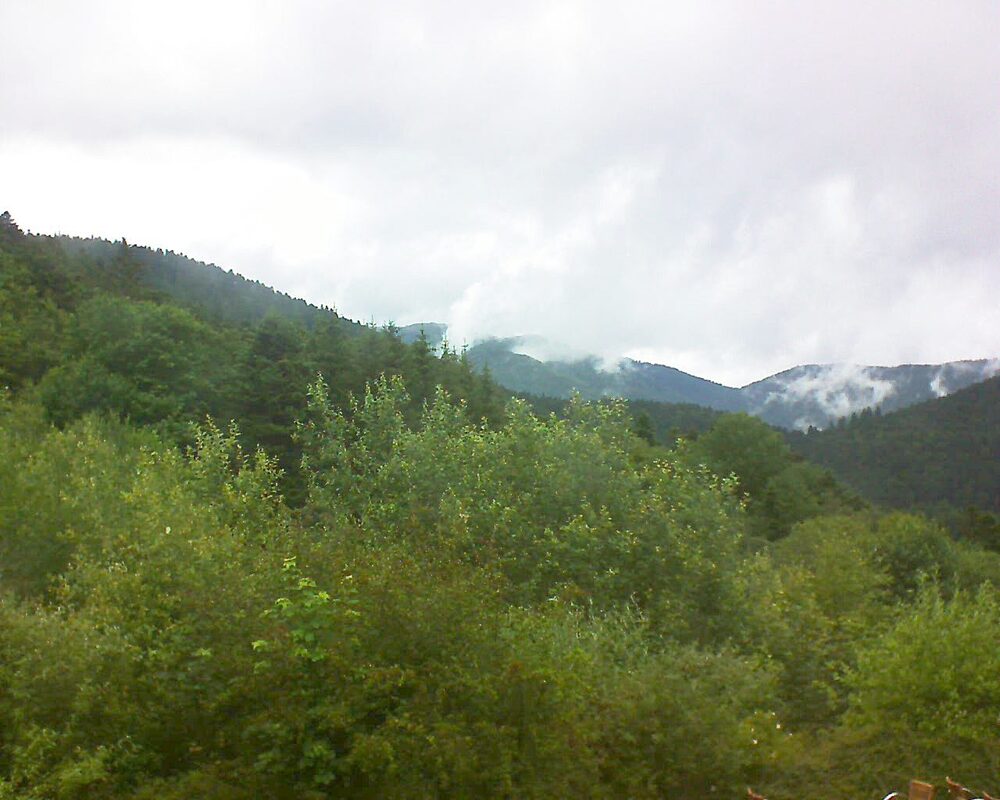 Le petit ballon (Alsace, Vosges) le 22.06.2024 à 13:45