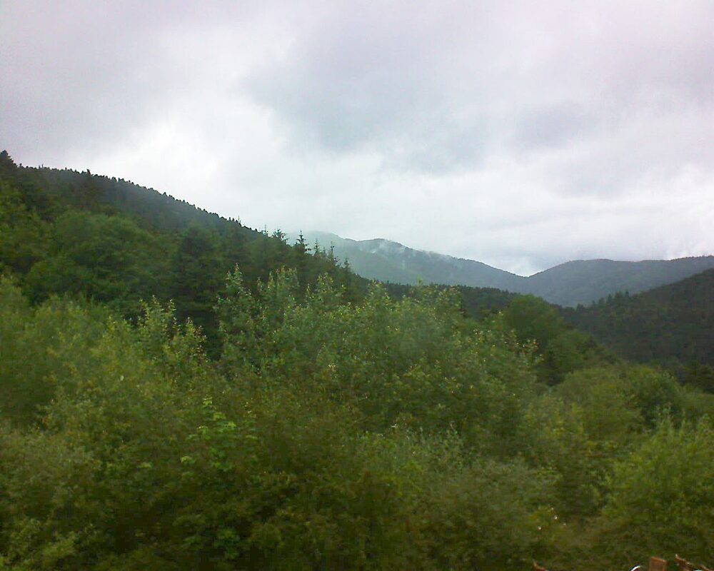 Le petit ballon (Alsace, Vosges) le 22.06.2024 à 15:00