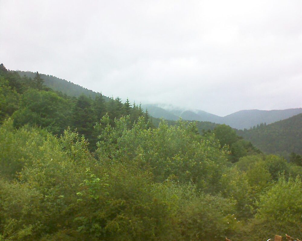 Le petit ballon vu depuis le Domaine Langmatt à Murbach le 22.06.2024 à 15:15 Le petit ballon (Alsace, Vosges) le 22.06.2024 à 15:15