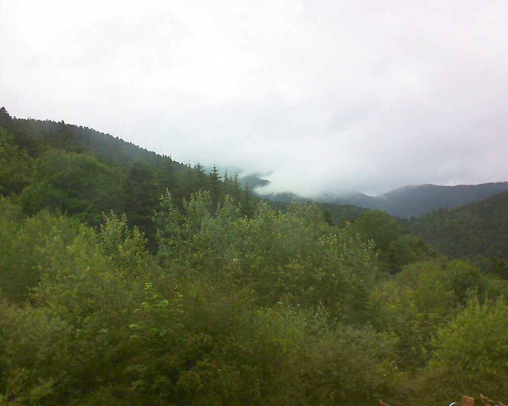 Le petit ballon (Alsace, Vosges) le 22.06.2024 à 16:00