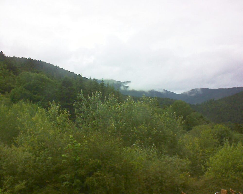Le petit ballon (Alsace, Vosges) le 22.06.2024 à 16:15