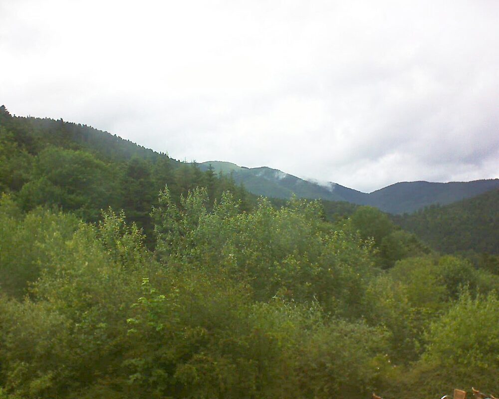 Le petit ballon vu depuis le Domaine Langmatt à Murbach le 22.06.2024 à 16:45 Le petit ballon (Alsace, Vosges) le 22.06.2024 à 16:45
