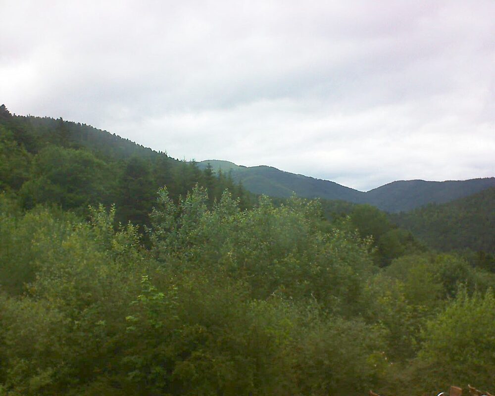 Le petit ballon (Alsace, Vosges) le 22.06.2024 à 17:30