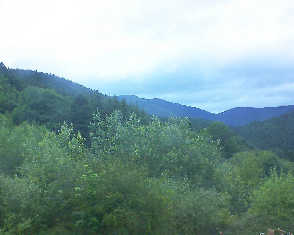 Le petit ballon (Alsace, Vosges) le 22.06.2024 à 17:45