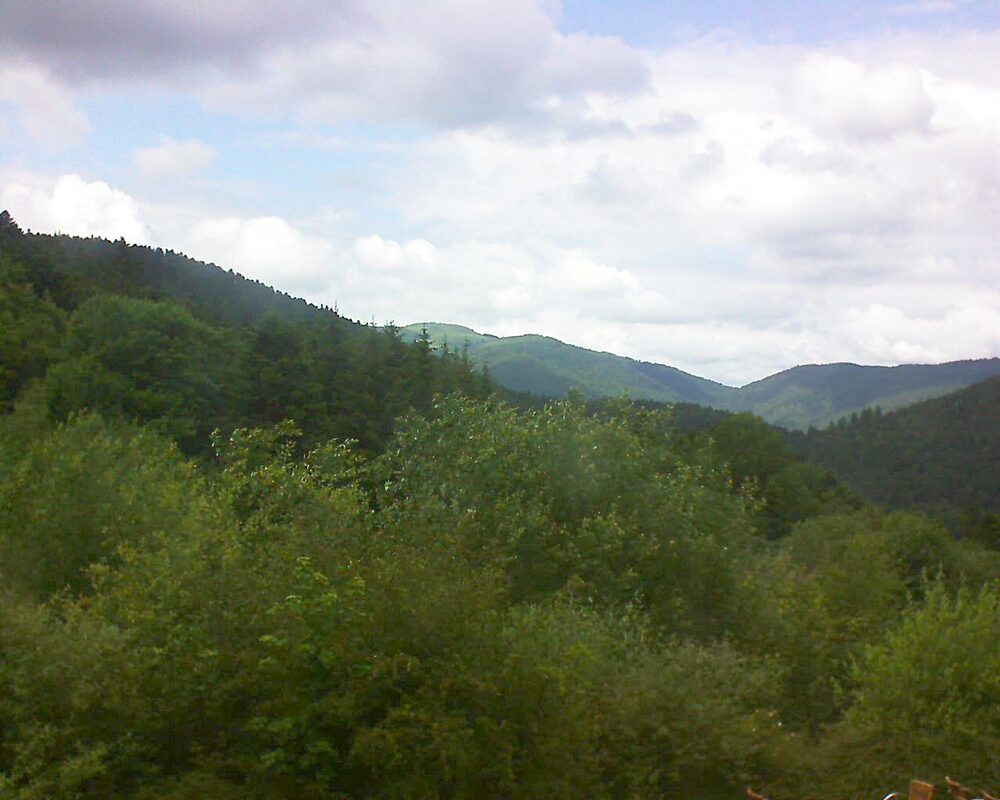 Le petit ballon (Alsace, Vosges) le 23.06.2024 à 15:45