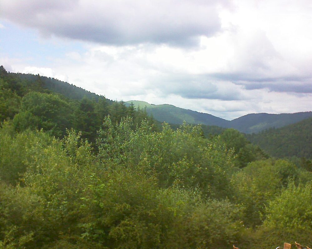 Le petit ballon (Alsace, Vosges) le 23.06.2024 à 16:00
