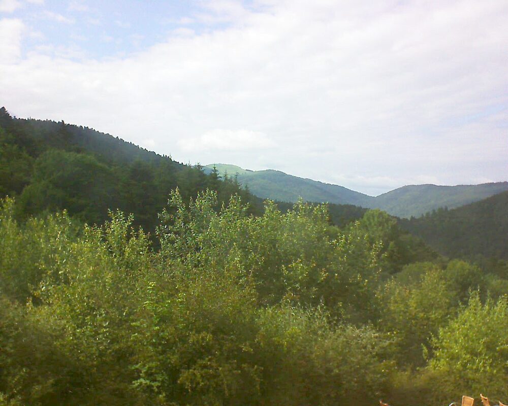 Le petit ballon (Alsace, Vosges) le 23.06.2024 à 17:30