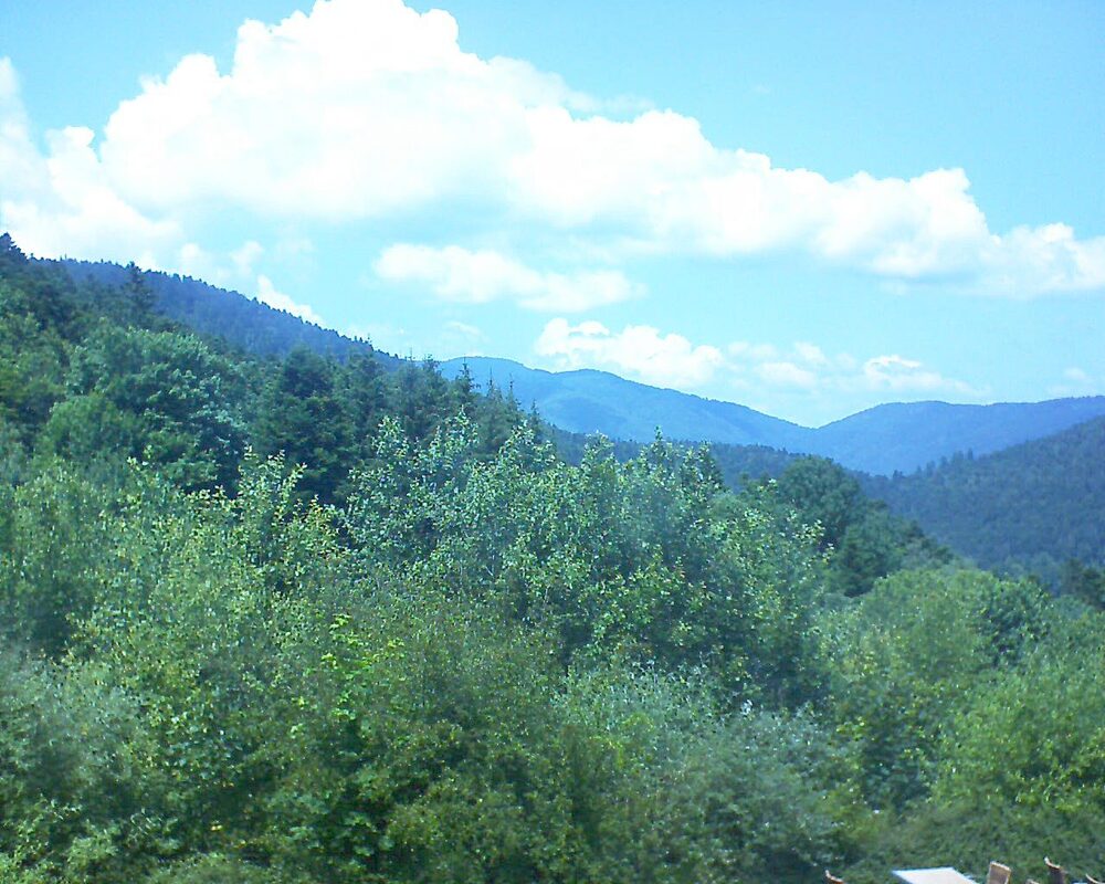 Le petit ballon vu depuis le Domaine Langmatt à Murbach le 24.06.2024 à 14:15 Le petit ballon (Alsace, Vosges) le 24.06.2024 à 14:15