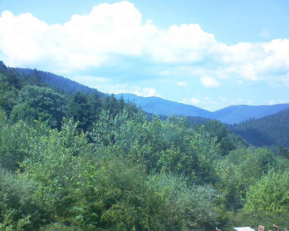 Le petit ballon vu depuis le Domaine Langmatt à Murbach le 24.06.2024 à 15:15 Le petit ballon (Alsace, Vosges) le 24.06.2024 à 15:15