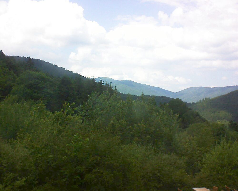 Le petit ballon (Alsace, Vosges) le 24.06.2024 à 15:30