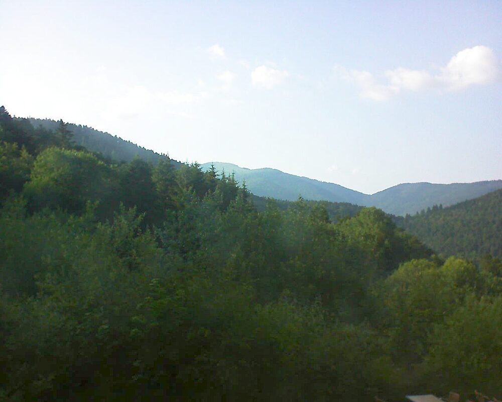 Le petit ballon (Alsace, Vosges) le 24.06.2024 à 19:00
