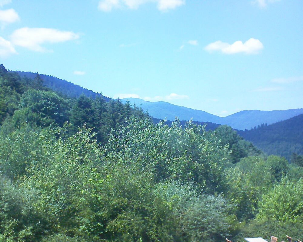 Le petit ballon vu depuis le Domaine Langmatt à Murbach le 25.06.2024 à 15:15 Le petit ballon (Alsace, Vosges) le 25.06.2024 à 15:15