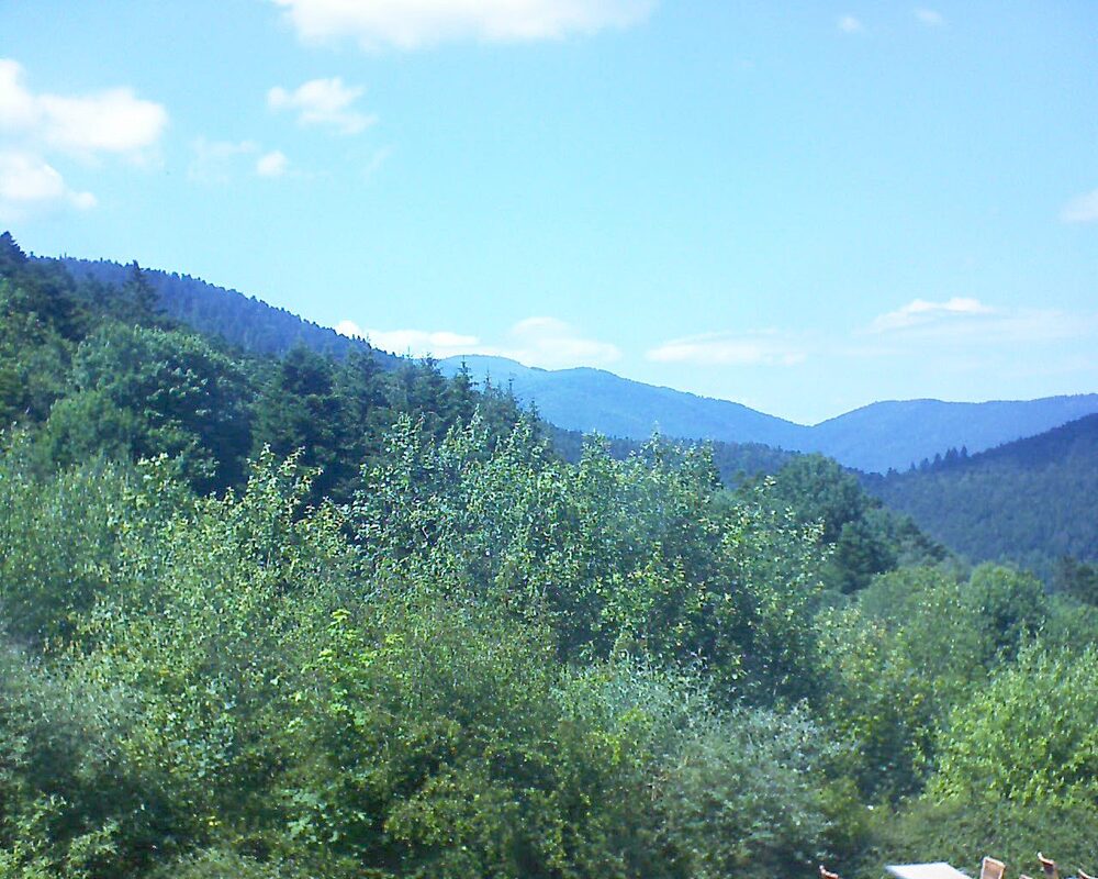Le petit ballon vu depuis le Domaine Langmatt à Murbach le 25.06.2024 à 15:30 Le petit ballon (Alsace, Vosges) le 25.06.2024 à 15:30