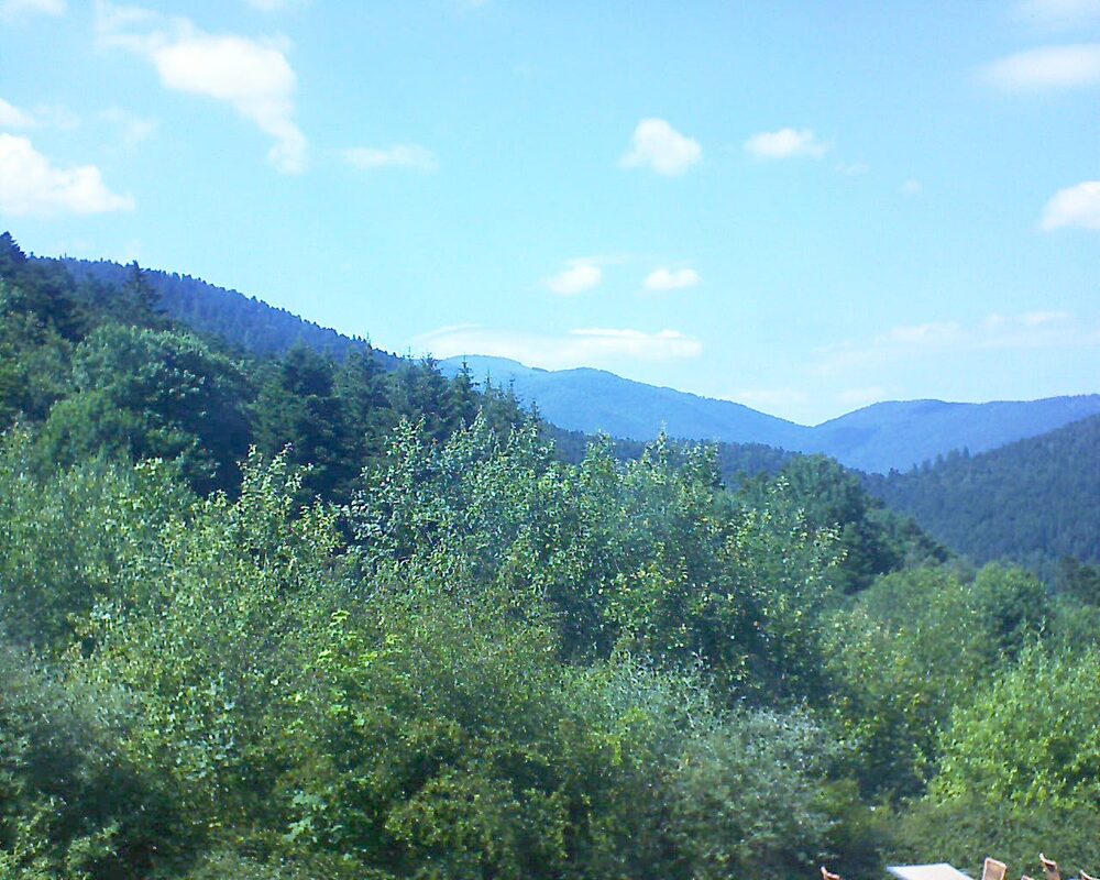 Le petit ballon (Alsace, Vosges) le 25.06.2024 à 16:00