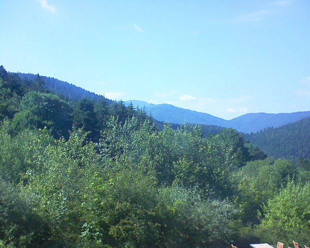 Le petit ballon vu depuis le Domaine Langmatt à Murbach le 25.06.2024 à 17:00 Le petit ballon (Alsace, Vosges) le 25.06.2024 à 17:00