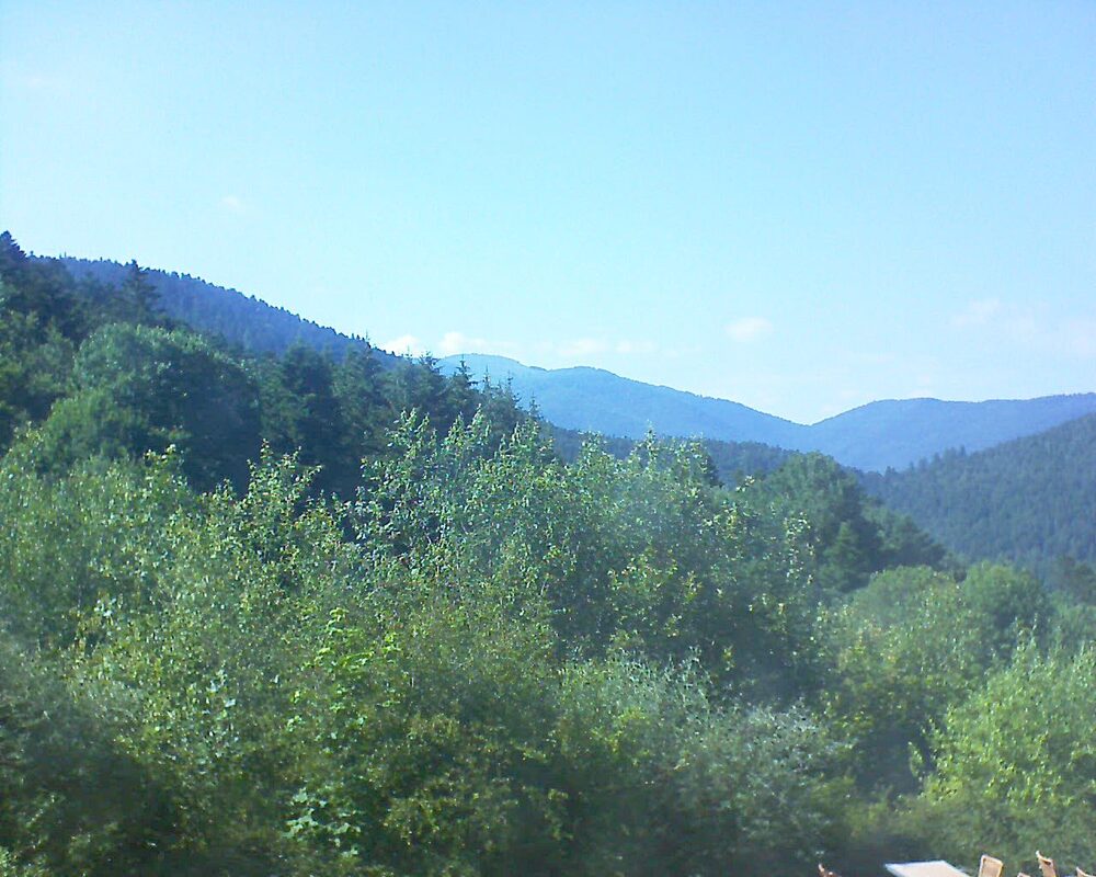Le petit ballon (Alsace, Vosges) le 25.06.2024 à 17:15