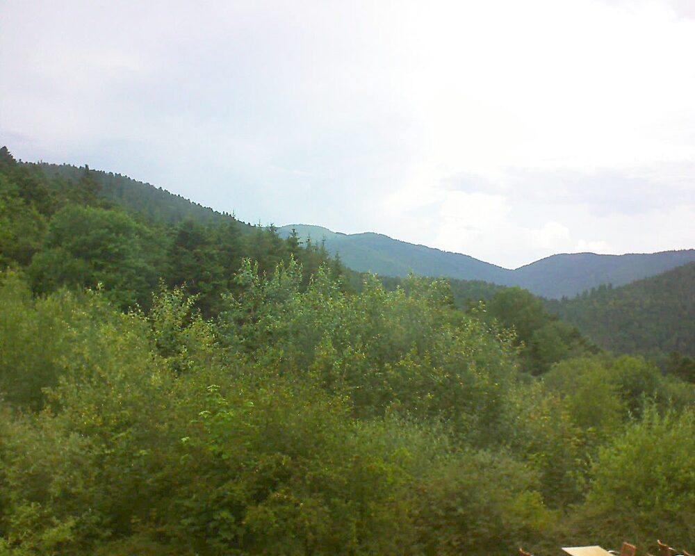 Le petit ballon (Alsace, Vosges) le 26.06.2024 à 15:30