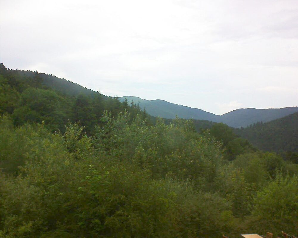 Le petit ballon vu depuis le Domaine Langmatt à Murbach le 26.06.2024 à 16:15 Le petit ballon (Alsace, Vosges) le 26.06.2024 à 16:15