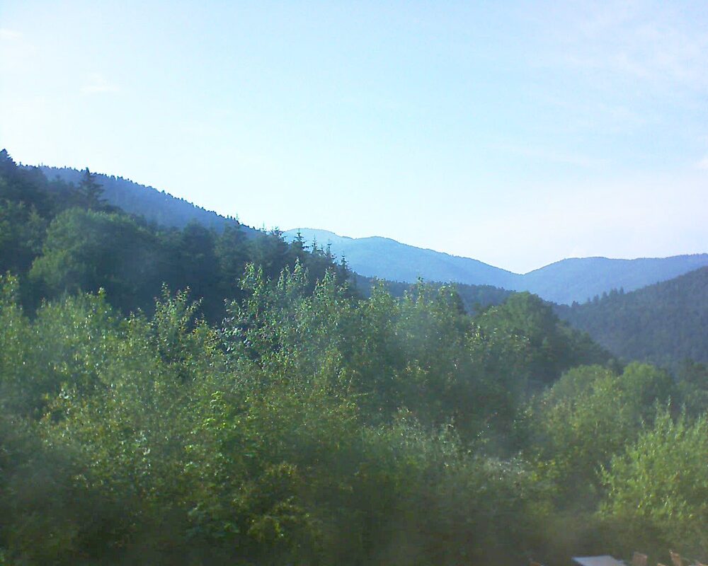 Le petit ballon (Alsace, Vosges) le 26.06.2024 à 18:45