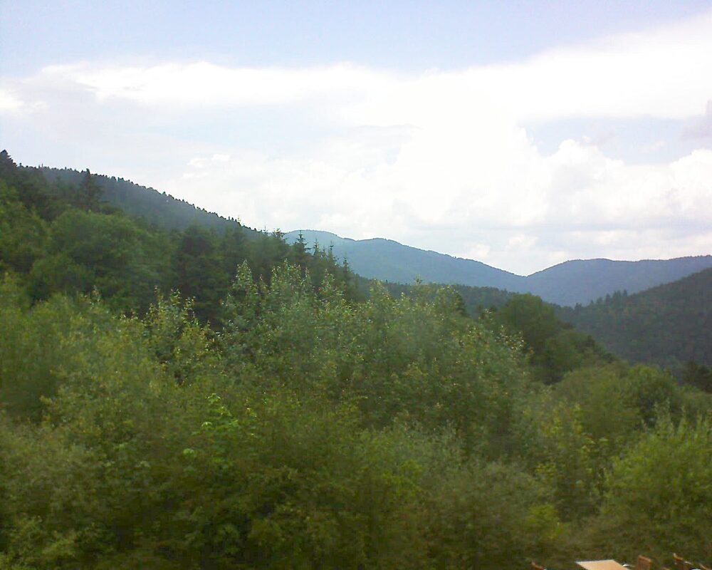 Le petit ballon vu depuis le Domaine Langmatt à Murbach le 27.06.2024 à 15:30 Le petit ballon (Alsace, Vosges) le 27.06.2024 à 15:30