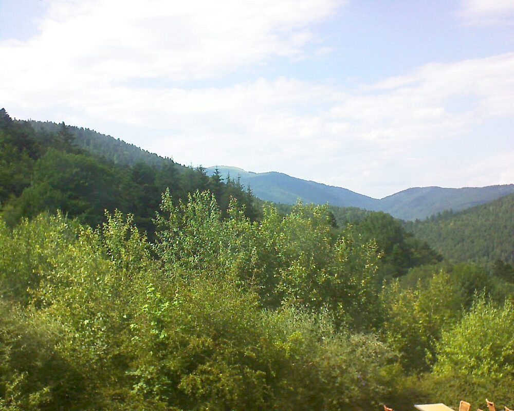 Le petit ballon (Alsace, Vosges) le 27.06.2024 à 16:45