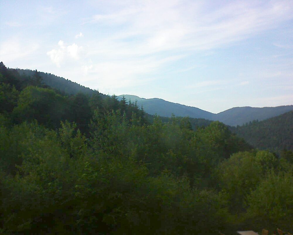 Le petit ballon (Alsace, Vosges) le 27.06.2024 à 19:00