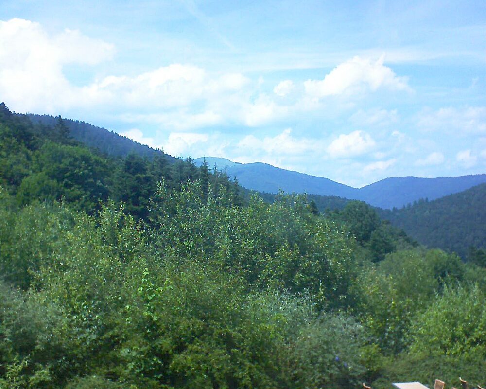 Le petit ballon vu depuis le Domaine Langmatt à Murbach le 28.06.2024 à 15:00 Le petit ballon (Alsace, Vosges) le 28.06.2024 à 15:00