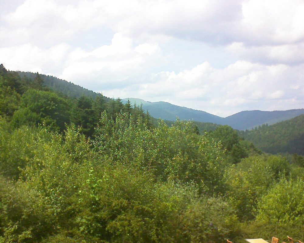 Le petit ballon vu depuis le Domaine Langmatt à Murbach le 28.06.2024 à 15:30 Le petit ballon (Alsace, Vosges) le 28.06.2024 à 15:30