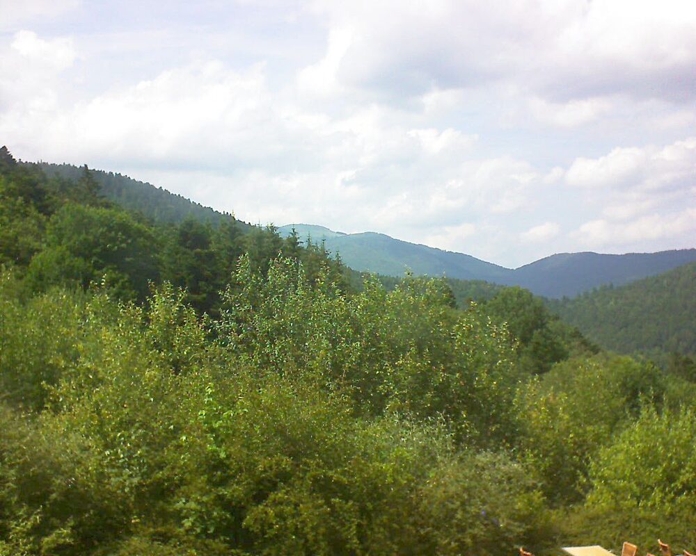 Le petit ballon (Alsace, Vosges) le 28.06.2024 à 15:45
