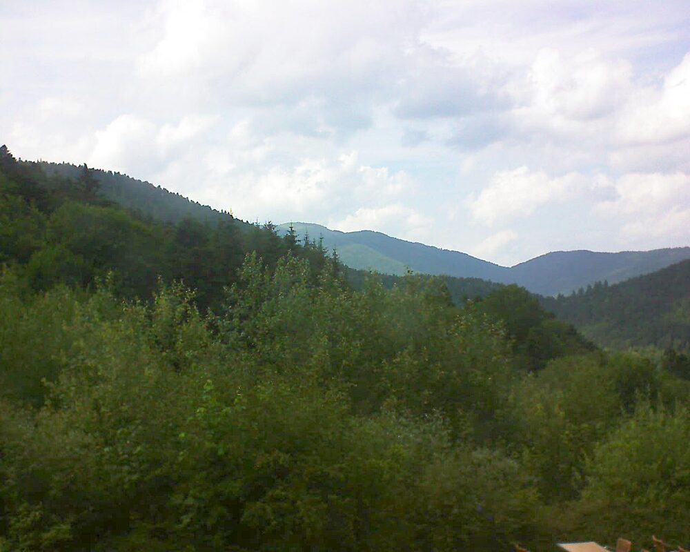 Le petit ballon (Alsace, Vosges) le 28.06.2024 à 16:00