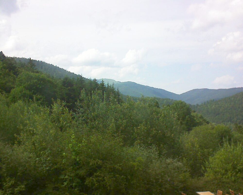 Le petit ballon vu depuis le Domaine Langmatt à Murbach le 28.06.2024 à 16:30 Le petit ballon (Alsace, Vosges) le 28.06.2024 à 16:30