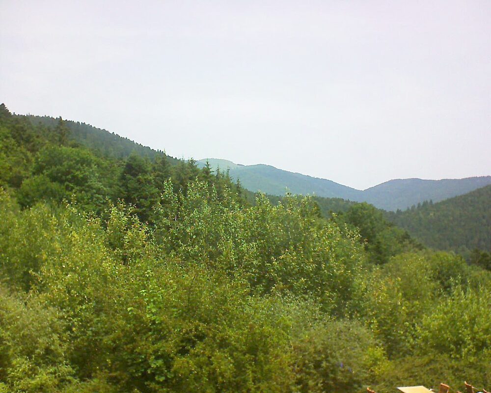 Le petit ballon vu depuis le Domaine Langmatt à Murbach le 29.06.2024 à 12:15 Le petit ballon (Alsace, Vosges) le 29.06.2024 à 12:15