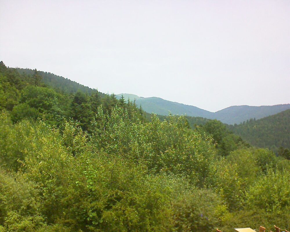 Le petit ballon (Alsace, Vosges) le 29.06.2024 à 12:30