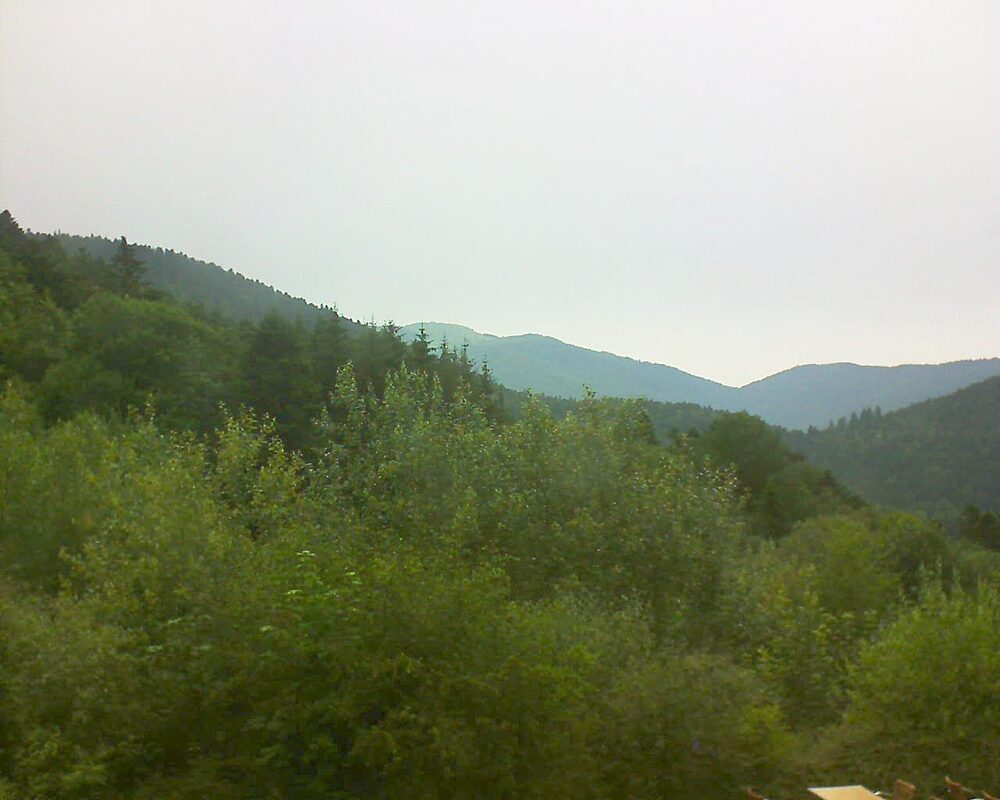 Le petit ballon (Alsace, Vosges) le 29.06.2024 à 16:00