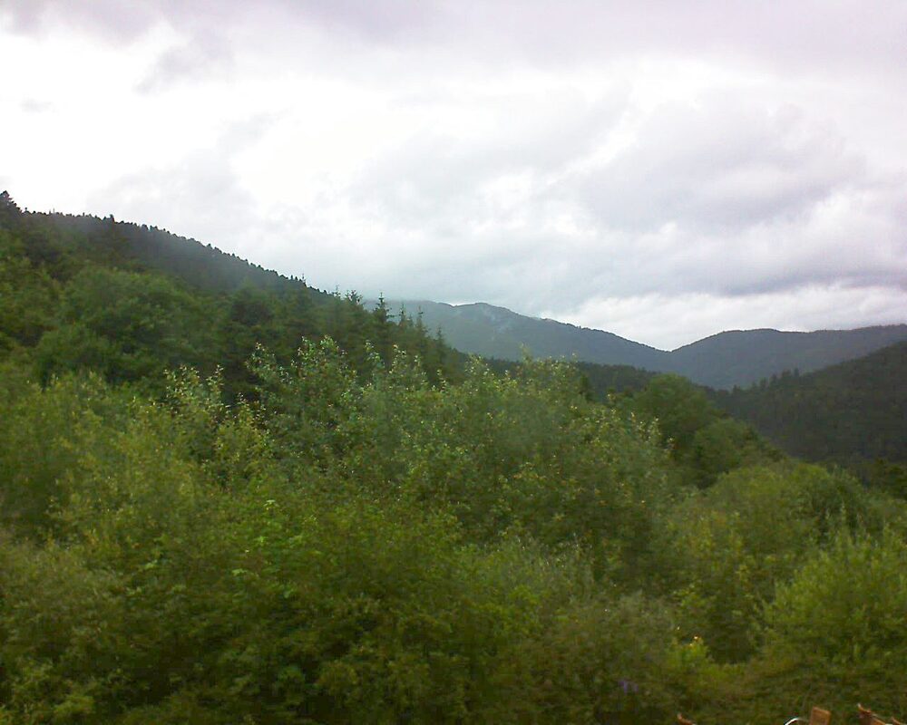 Le petit ballon (Alsace, Vosges) le 30.06.2024 à 15:00