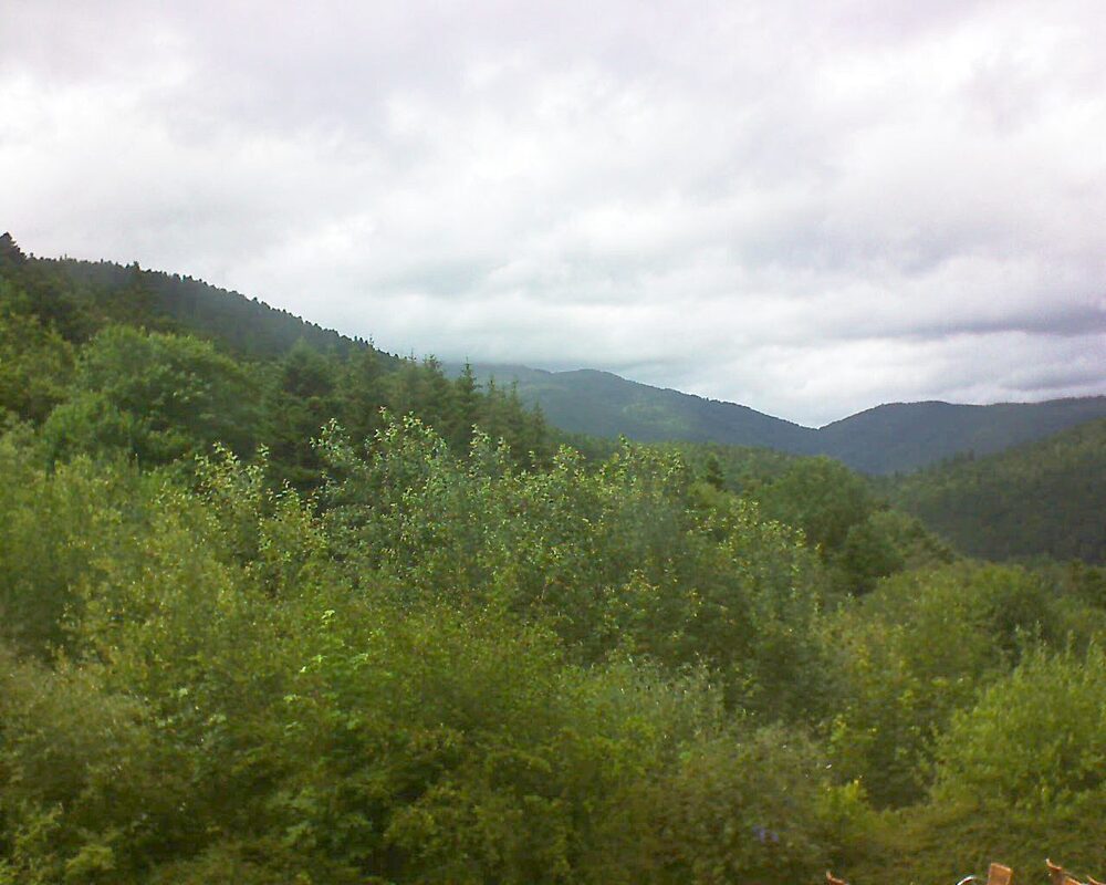 Le petit ballon (Alsace, Vosges) le 30.06.2024 à 15:30