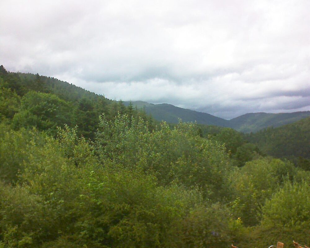 Le petit ballon (Alsace, Vosges) le 30.06.2024 à 15:45