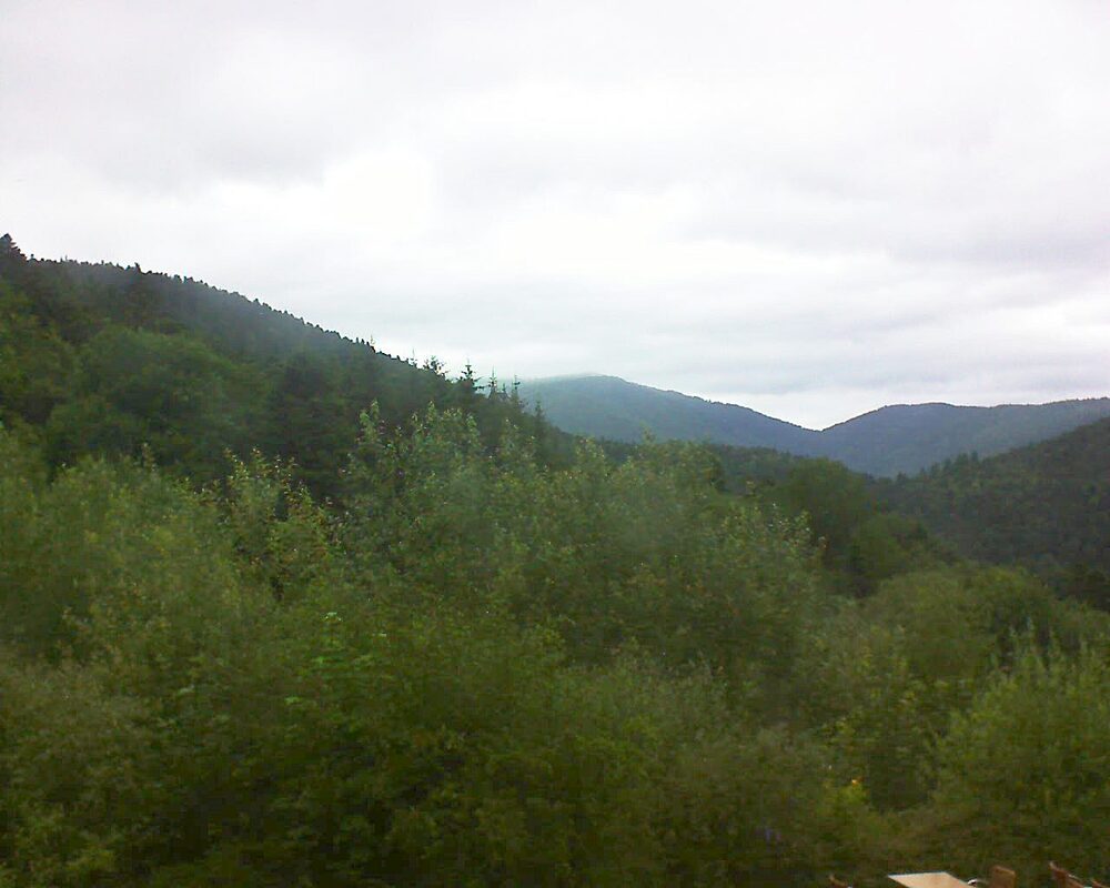 Le petit ballon (Alsace, Vosges) le 30.06.2024 à 19:00