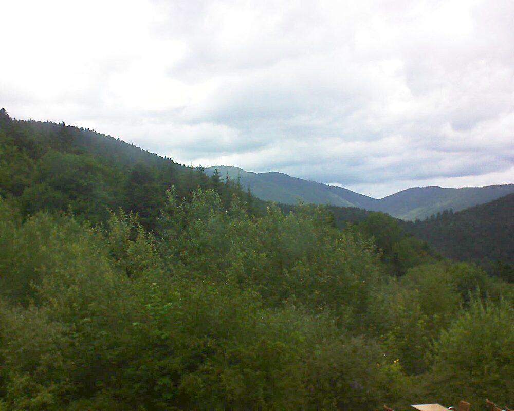 Le petit ballon (Alsace, Vosges) le 01.07.2024 à 12:00