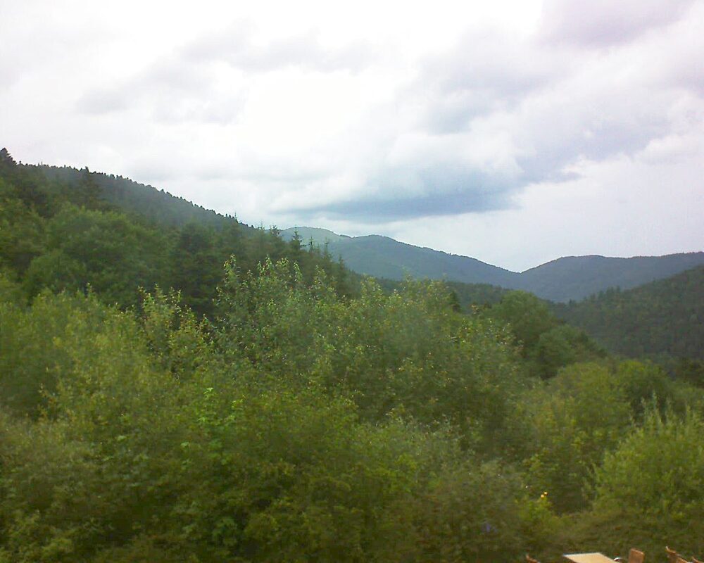 Le petit ballon (Alsace, Vosges) le 01.07.2024 à 14:00