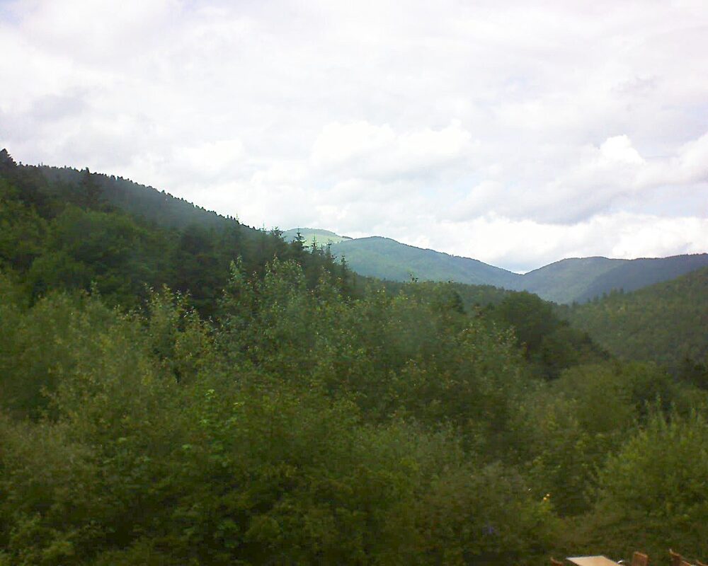 Le petit ballon (Alsace, Vosges) le 01.07.2024 à 15:00