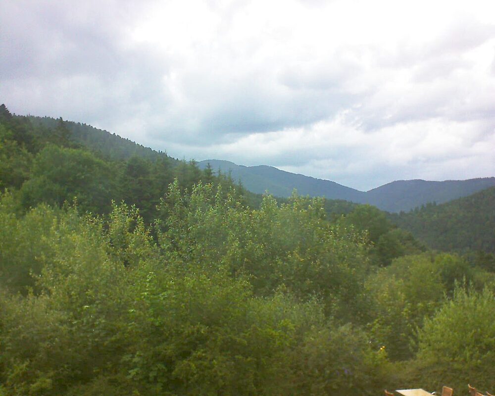 Le petit ballon vu depuis le Domaine Langmatt à Murbach le 01.07.2024 à 15:30 Le petit ballon (Alsace, Vosges) le 01.07.2024 à 15:30