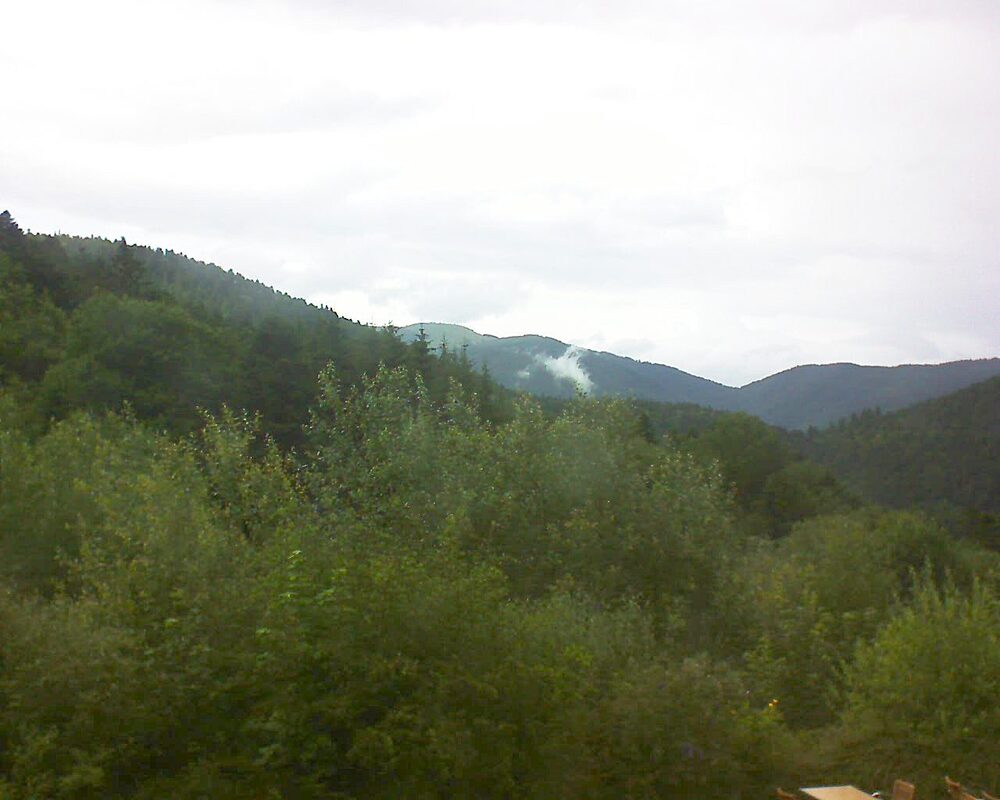 Le petit ballon (Alsace, Vosges) le 01.07.2024 à 16:00