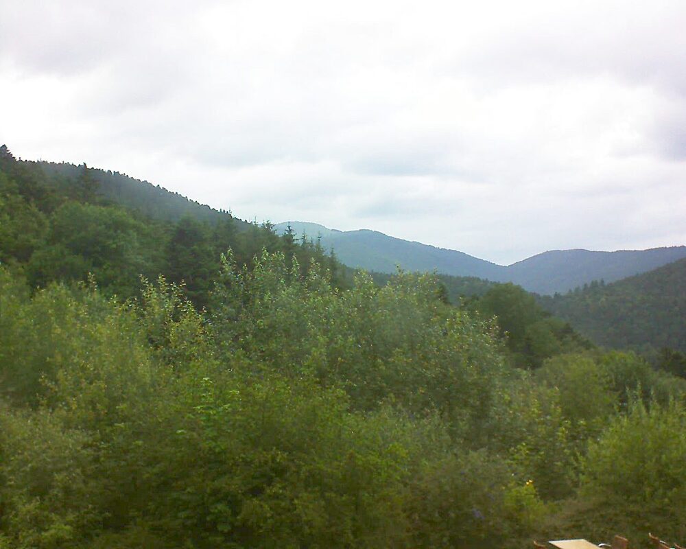Le petit ballon vu depuis le Domaine Langmatt à Murbach le 02.07.2024 à 15:15 Le petit ballon (Alsace, Vosges) le 02.07.2024 à 15:15