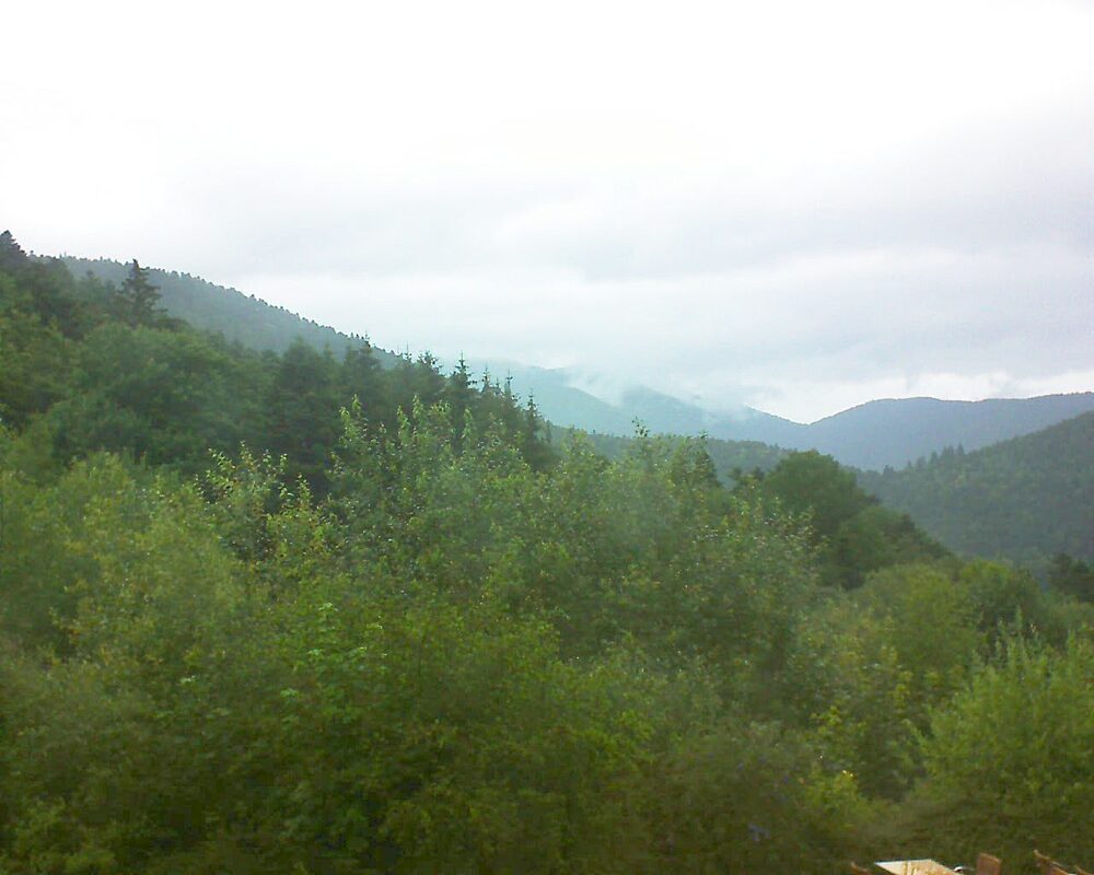 Le petit ballon (Alsace, Vosges) le 02.07.2024 à 16:30