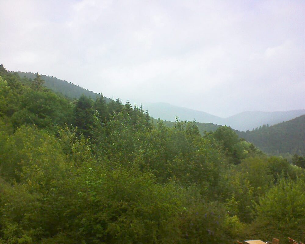 Le petit ballon vu depuis le Domaine Langmatt à Murbach le 04.07.2024 à 11:00 Le petit ballon (Alsace, Vosges) le 04.07.2024 à 11:00