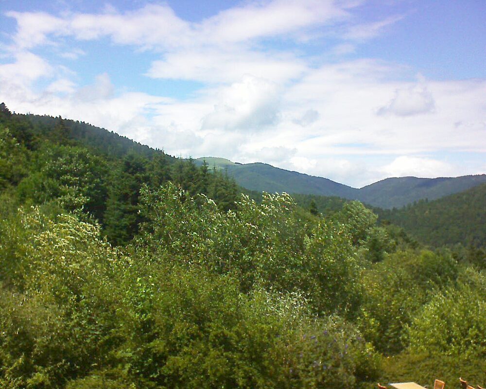 Le petit ballon (Alsace, Vosges) le 04.07.2024 à 15:00