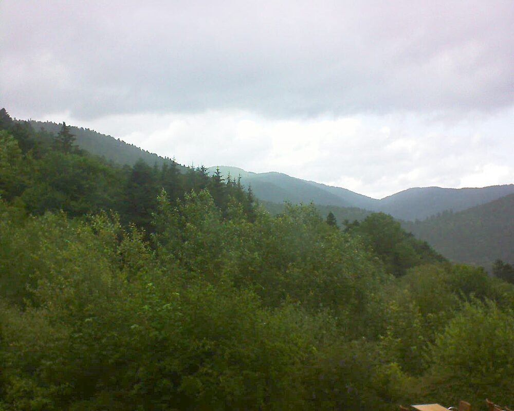 Le petit ballon (Alsace, Vosges) le 04.07.2024 à 17:45
