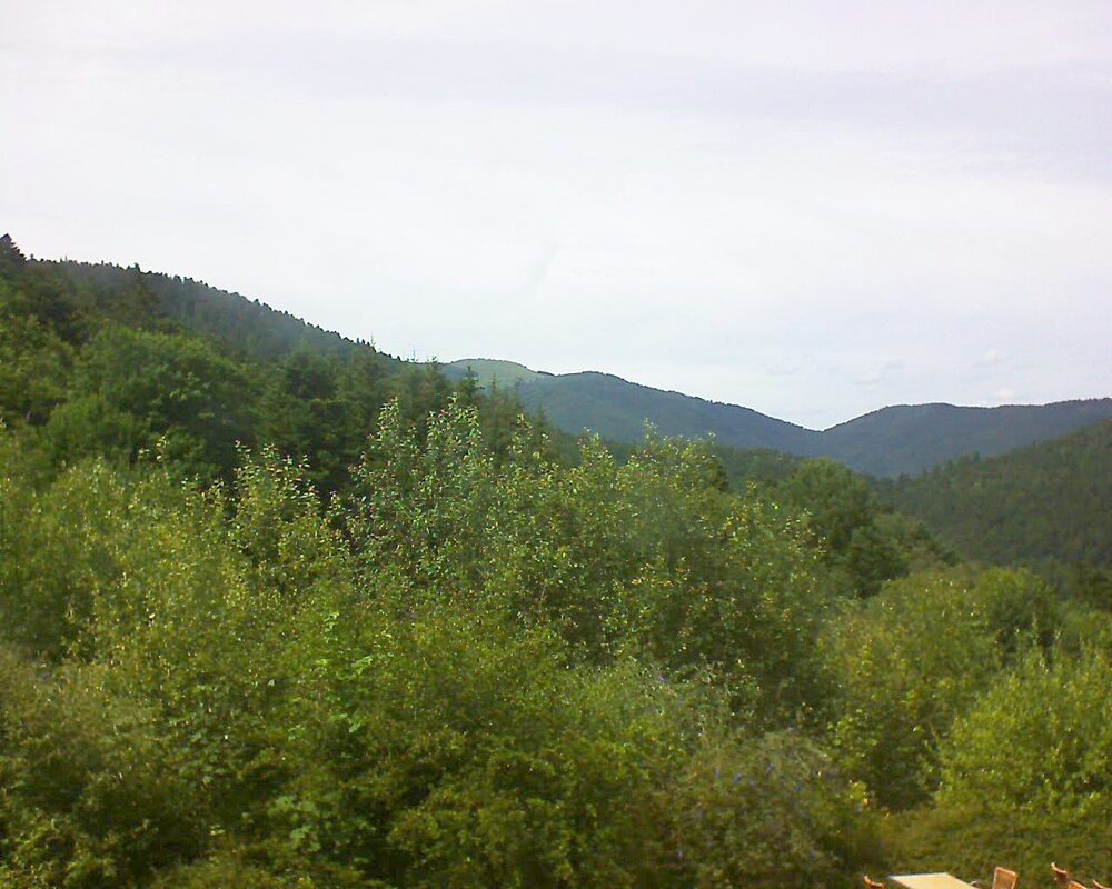 Le petit ballon (Alsace, Vosges) le 05.07.2024 à 15:30